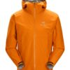 ArcTeryx-Zeta-SL-Jacket-Mens-Wildchild-21776-Nuten-Sport-1