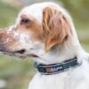 Non-Stop-Non-Stop-Dogwear-Roam-Collar--Nuten-Sport-5