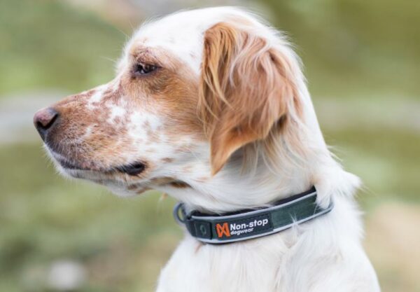 Non-Stop-Non-Stop-Dogwear-Roam-Collar--Nuten-Sport-5