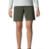 Houdini-W´S-Wadi-Shorts-Baremark-Green-160854-Nuten-Sport-3