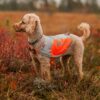 Non-Stop-Non-Stop-Dogwear-Reflection-Blanket---Nuten-Sport-3