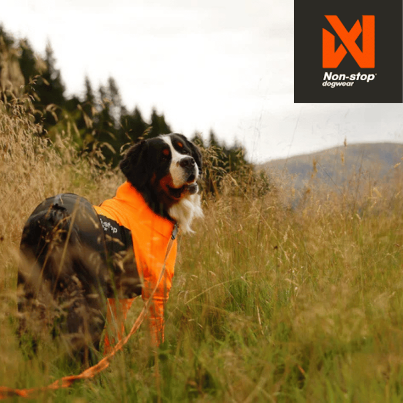 Non-stop dogwear Heldrakt Hun Hund Pro Oransje - Bilde 4